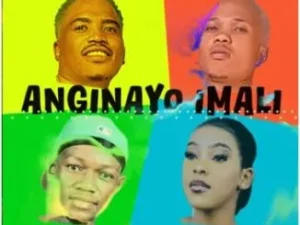 HBK Live Act, Miles Montana, Cardinalx25, Nomzamo RSA – Anginayo Imali