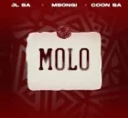 JL SA, Msongi & COON SA – MOLO