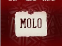JL SA, Msongi & COON SA – MOLO