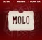 JL SA, Msongi & COON SA – MOLO
