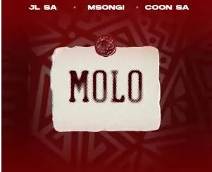 JL SA, Msongi & COON SA – MOLO