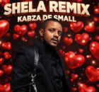 Kabza De Small - Shela Remix