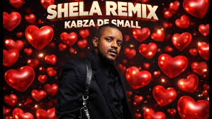 Kabza De Small - Shela Remix