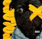 LebtoniQ – POLOPO 43 Mix