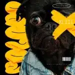 LebtoniQ – POLOPO 43 Mix