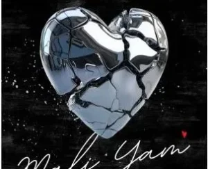 Lesgo 966, SjavasDaDeejay & Musical Xhepard – Mali Yam