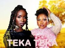 Makhadzi – Back to Back ft. Ba Bethe Gashoazen