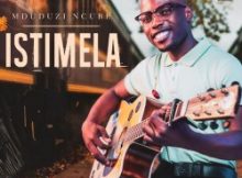 Mduduzi Ncube – Ebumnyameni