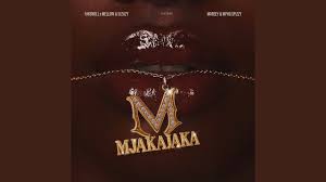 Melllow & Sleazy, Lady Du & Myztro – Mjakajaka ft. Dj Maphorisa & Benzoo