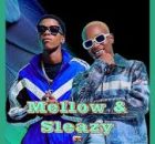 Mellow & Sleazy, Scott Maphuma – Type Beat Amapiano