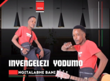 Nyengelezi Yodumo – UBEDUNUSELA AMADODA