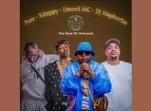 Pcee, King P & Benzoo – IMPILO ft. Xduppy, Tyler ICU, Sha Sha & Dj Maphorisa
