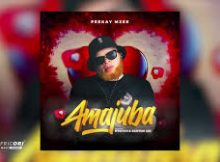 Peekay Mzee – Amajuba ft. D’patch & Kenton Lee