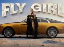 Pepsurah – Fly Girl EP