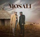 Phoka ea Boroa ft Sannere - Mosali