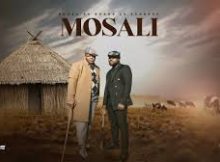 Phoka ea Boroa ft Sannere - Mosali