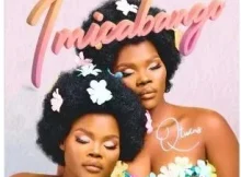 Q Twins – Imicabango