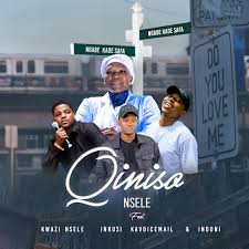 Qiniso Nsele - Iyodwa Ngonyama kaZulu