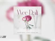 Queenthee Vocalist - Wee Dali