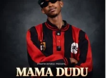 Scotts Maphuma, Benzoo & Mellow & Sleazy – Mama Dudu Ft. Bob Mabena