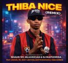 Shaun 101, Mluusician, DJ Maphorisa - Thiba Nice (Remix) ft. Uncool MC, Ricky Lenyora, Scotts Maphuma