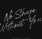 Shimza & LevyM – No Shape Without You