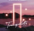 SirRoonieTheDJ – Tranquility EP