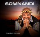 Somnandi – AKUKHOKHELWE AMATSHITSHI