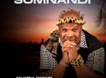 Somnandi – AKUKHOKHELWE AMATSHITSHI