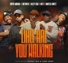 Super Mosha Ottimo, Lintonto, Olley Rsa & HFLY – Lihle Are You Walking ft. Qwesta Kufet, Teekay M10 & Luna Deep