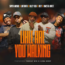 Super Mosha Ottimo, Lintonto, Olley Rsa & HFLY – Lihle Are You Walking ft. Qwesta Kufet, Teekay M10 & Luna Deep