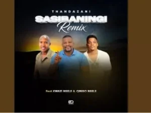Thandazani – Sasibaningi (Qiniso Nsele, Kwazi Nsele) (Remix)