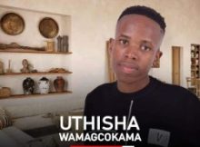 Thisha Wamagcokama – Isithombe esisha