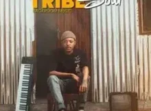 TribeSoul – Uthando Lwam ft Nele SA