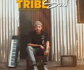 TribeSoul – BacKroom Music Album