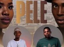 Tswelopele – Tinny Ribee feat Master Nico & Nkosi The Hustler SA