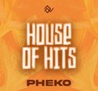 Tumisho – Road Trip