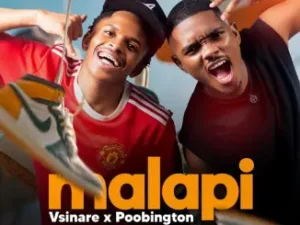 Vsinare x Poobington – Malapi