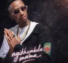 Young Stunna – Ngikhumbula Mama (ft. Scotts Maphuma, leemckrazy, Xduppy, Focalistic,Dj maphorisa)