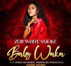 Zoli White Smoke - Baby Waka feat. SmeezyOn The Beat, ParisMiller & Master Chuza