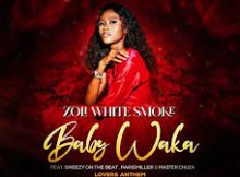 Zoli White Smoke - Baby Waka feat. SmeezyOn The Beat, ParisMiller & Master Chuza