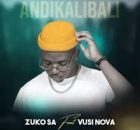 Zuko SA - Andikalibali ft Vusi Nova (Live)