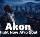 Akon - Right Now (Na Na Na) | Afro Soul Cover