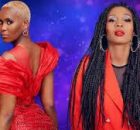 Azawi x Omega 256 x Jose - Oli Wange