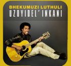 Bhekumuzi Luthuli - 2026 New Songs & Album Zip