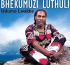 Bhekumuzi Luthuli – Awudeli