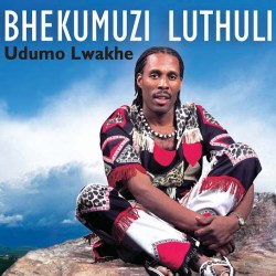 Bhekumuzi Luthuli – Awudeli