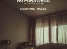 Bonginkosi Maggz – Ng'funa wena Ft Thando Zide
