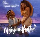 Cici, Sqiniseko SqinQ – Ngiyamthatha
