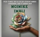 Dj 9.8 SA - Nginike imali (Pexi-Tonic SA Dj 9.8 SA, Ceekay Musiq, Cardinal X25 FT Nana Rsa)